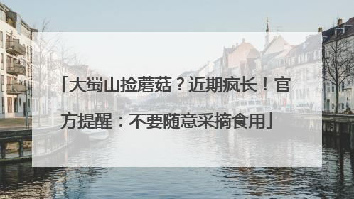 大蜀山捡蘑菇？近期疯长！官方提醒：不要随意采摘食用